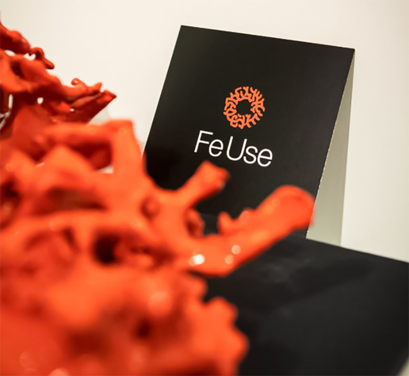 feuse-8